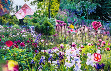 Lade das Bild in den Galerie-Viewer, Handtuch