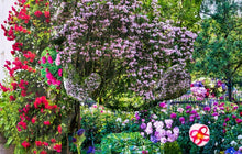 Lade das Bild in den Galerie-Viewer, Handtuch